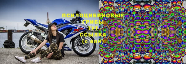 каннабис Богданович