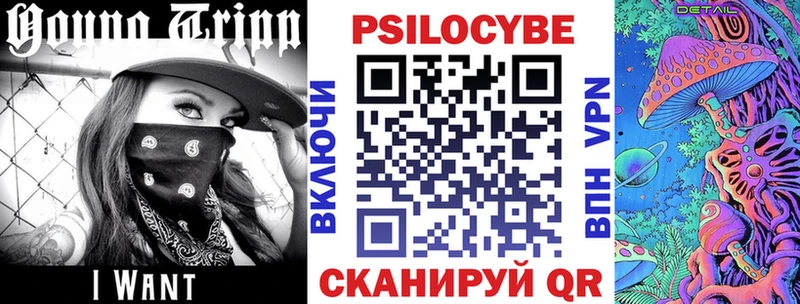 Псилоцибиновые грибы Psilocybe  Кушва 